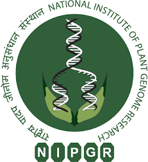 NIPGR Molecular Biology RA/SRF Openings