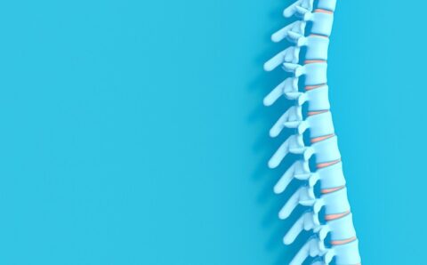 Researchers develop nanogel to deliver anti-inflammatory drugs for spinal cord injury