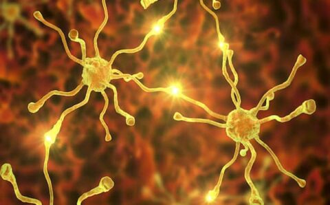 Study reveals new aptamer targeting tool can detect early signs of motor neurone disease